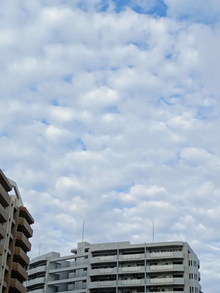 朝の風景曇り1