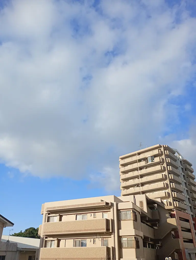 朝の風景2
