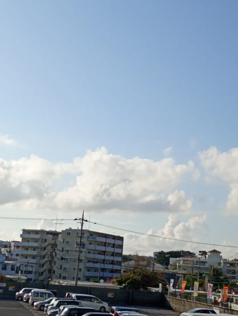 朝の風景です2