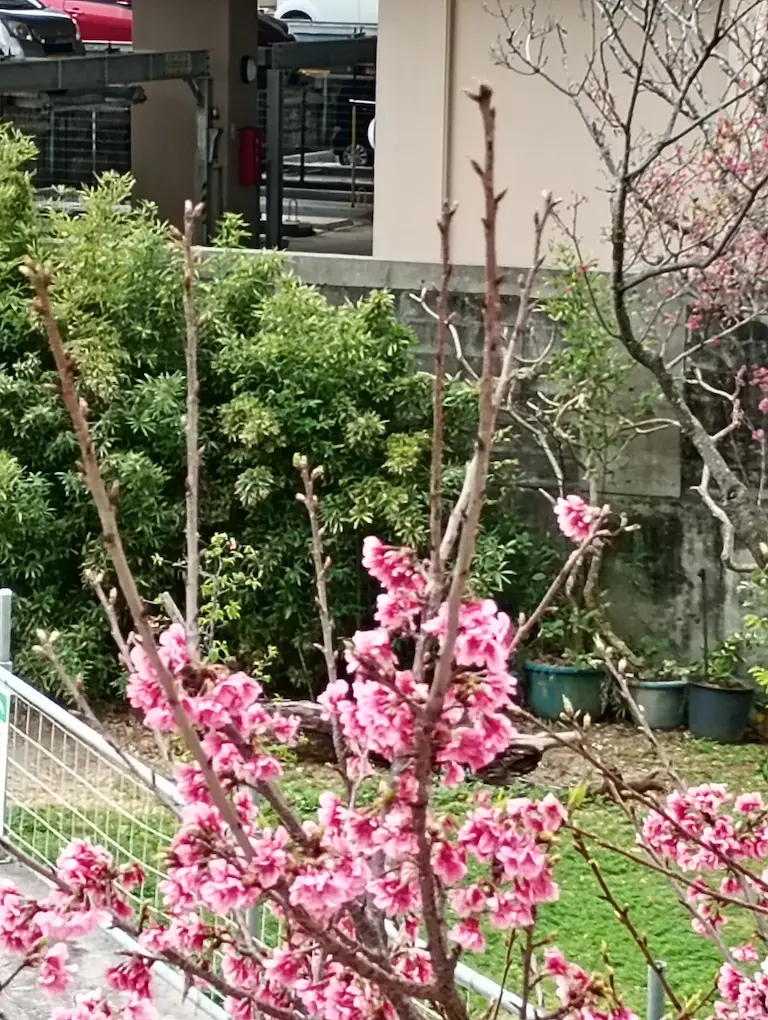 丈が揺れる風景