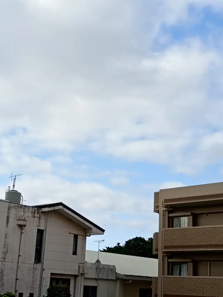 朝の風景2