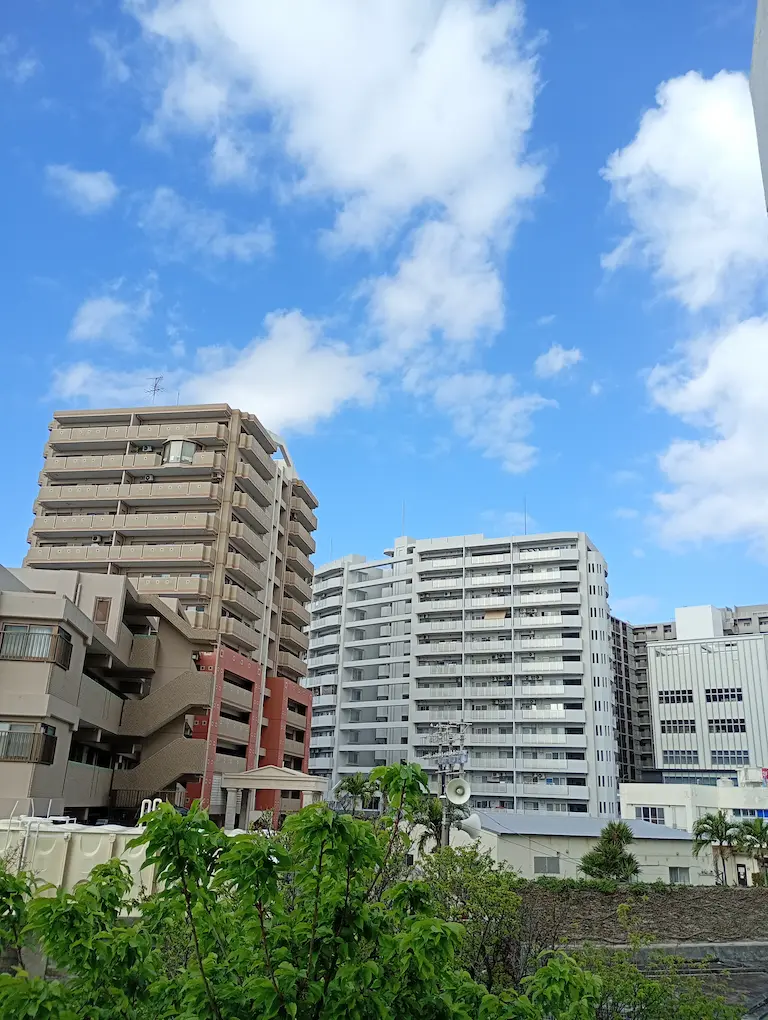 朝の風景4