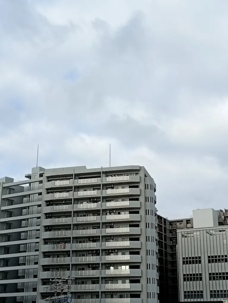 朝の風景3