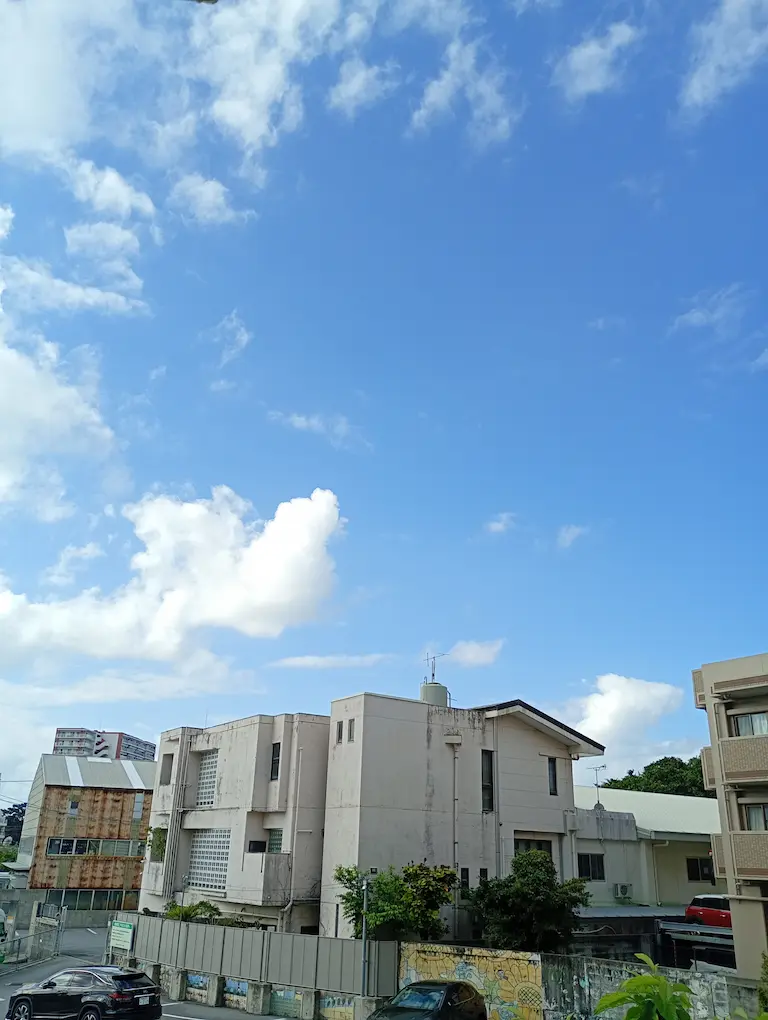 朝の風景3