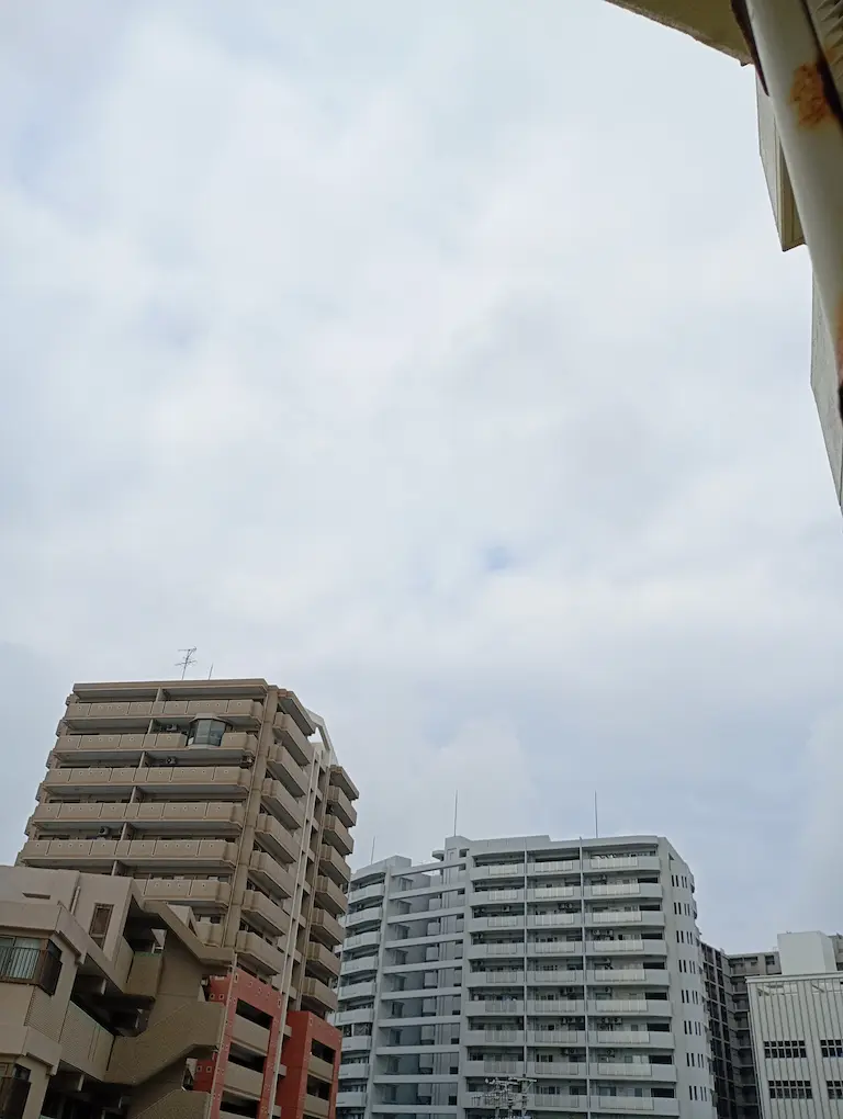 朝の風景2