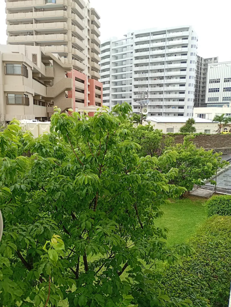 沖縄窓から見える風景2