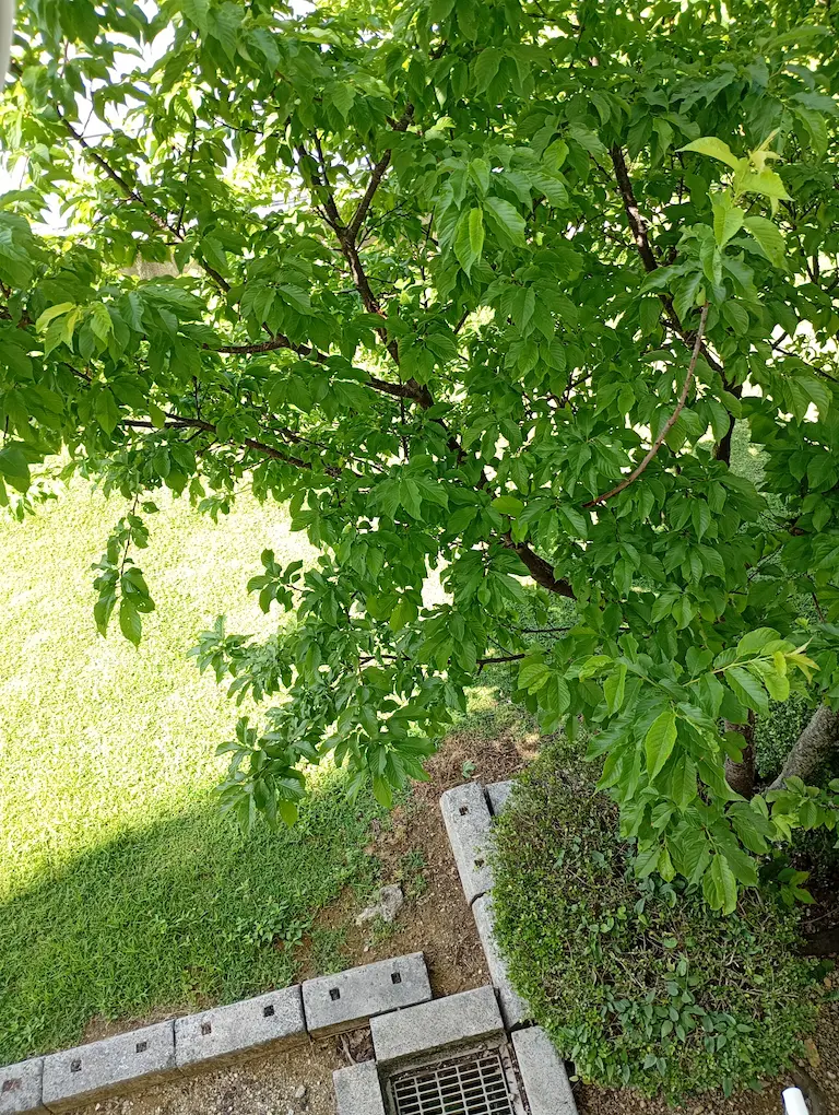 ベランダからの風景2