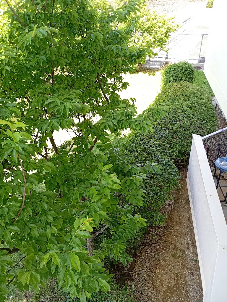 ベランダからの風景3