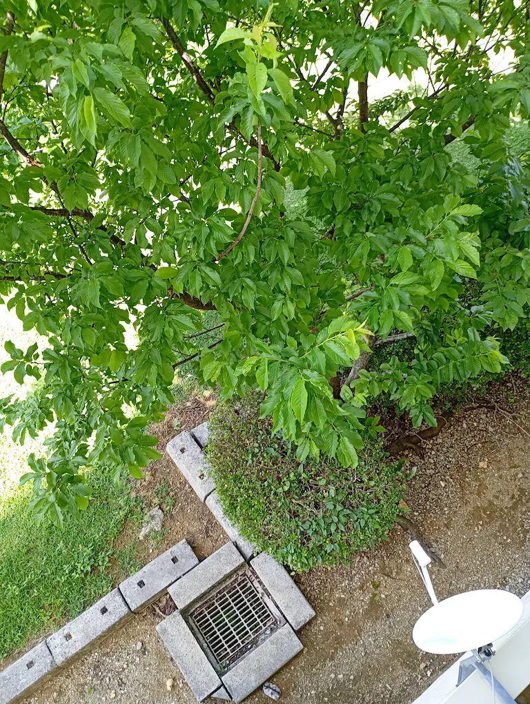 ベランダからの風景1