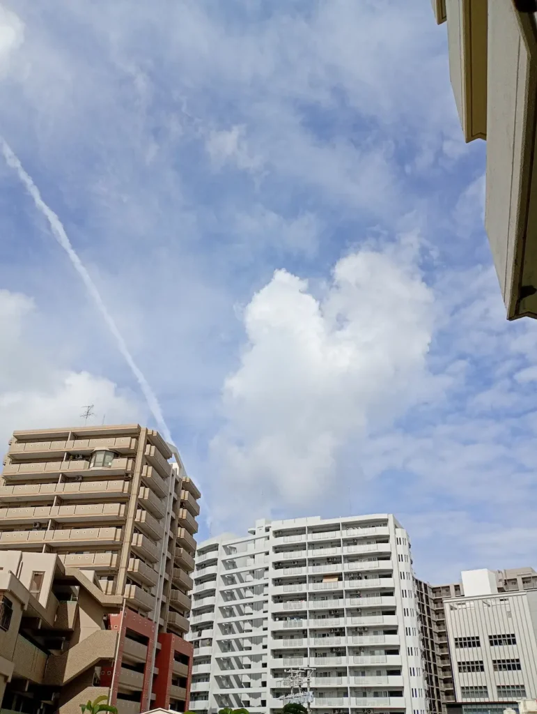沖縄の朝の風景3