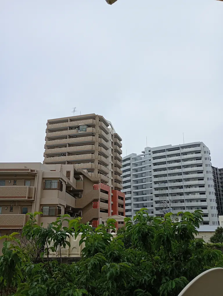 沖縄の朝の風景3