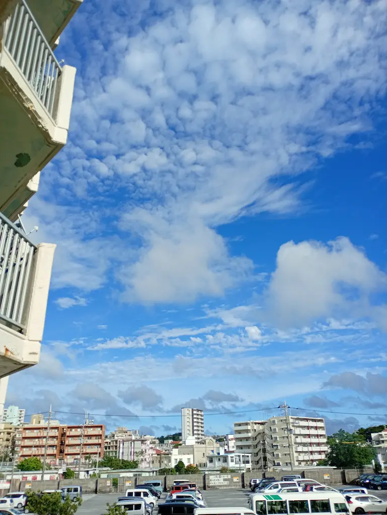 梅雨明け3
