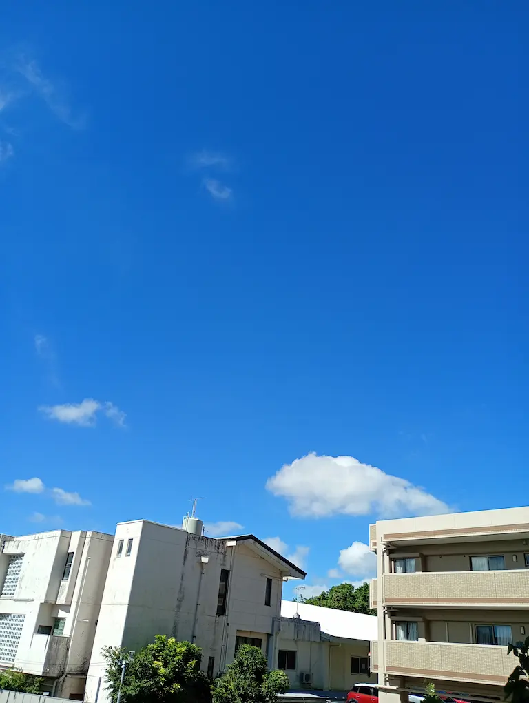 浦添の朝2