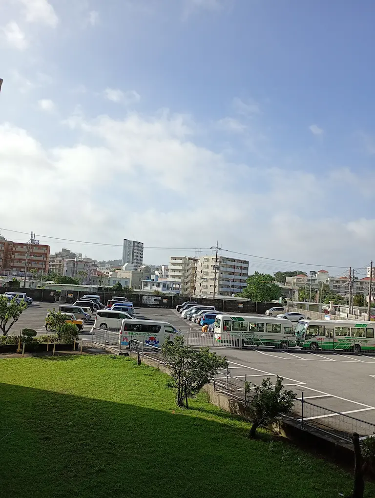 台風が終わった朝1