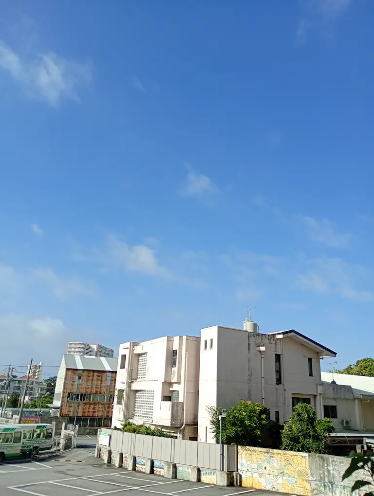 台風が終わった朝2