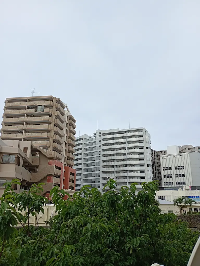 沖縄の朝の風景1