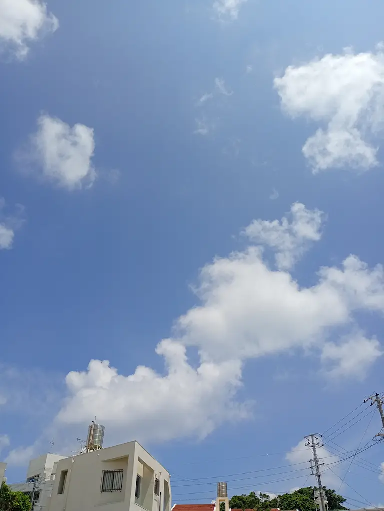 港川の朝3