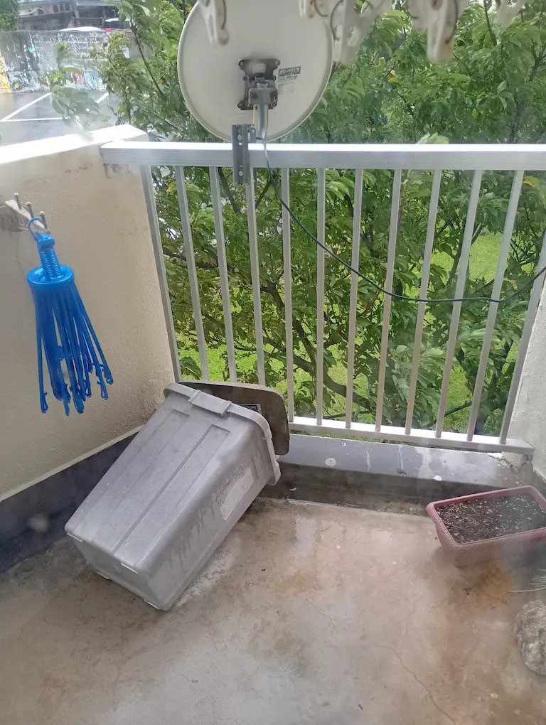 台風の朝3