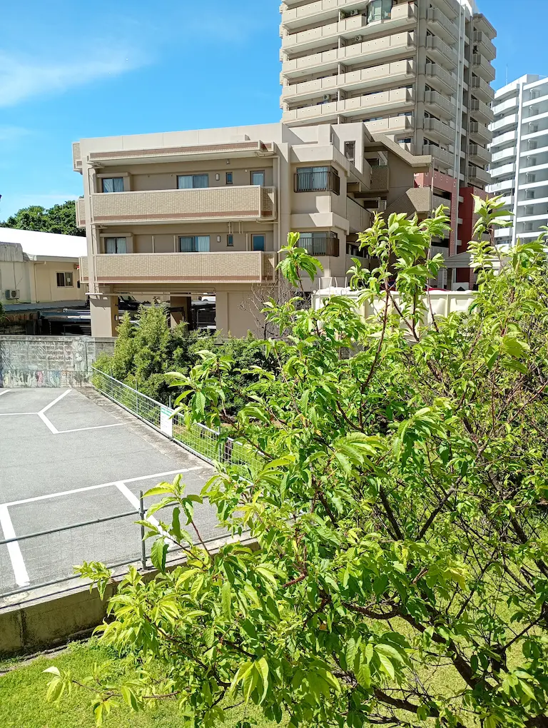 港川朝の風景2